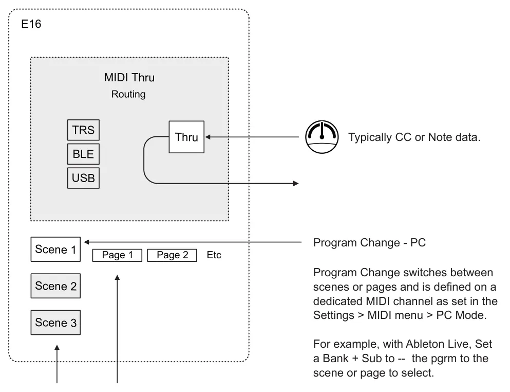 2.16 MIDI In diagram: E16 Routing MIDI Thru TRS Thru Typically CC or Note data. BLE USB Program Change - PC Page 1 Page 2 Etc Scene 1 Program Change switches between scenes or pages and is defined on a dedicated MIDI channel as set in the...