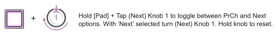 Next diagram: Hold [Pad] + Tap (Next) Knob 1 to toggle between PrCh and Next options. With ‘Next’ selected turn (Next) Knob 1. Hold knob to reset. + 1