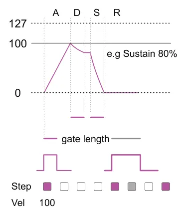 CV Output Types diagram: A D S R 127 100 e.g Sustain 80% 0 gate length Step Vel 100