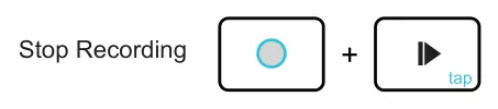 Step Recording diagram: Stop Recording +