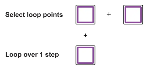 5.2 Looping Patterns diagram: + Select loop points + Loop over 1 step